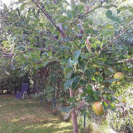 Huis Bij De Catalpa Ντόρντρεχτ Εξωτερικό φωτογραφία