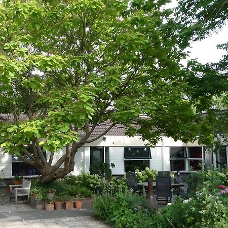 Huis Bij De Catalpa Ντόρντρεχτ Εξωτερικό φωτογραφία